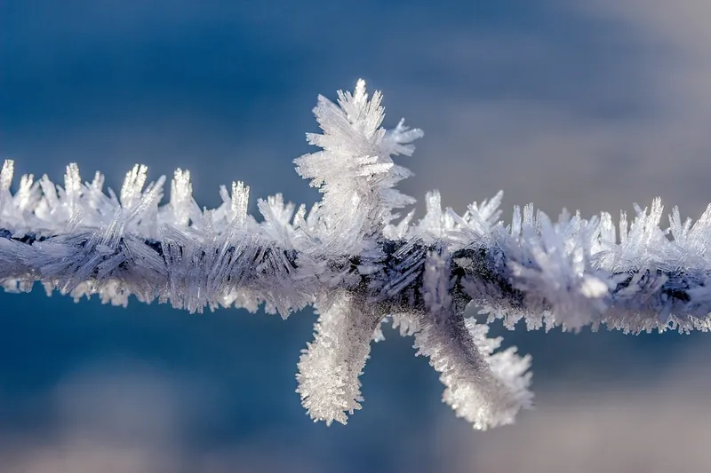 winter impression
